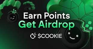COOKIE DAO 8